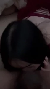 全自动的榨汁鸡4